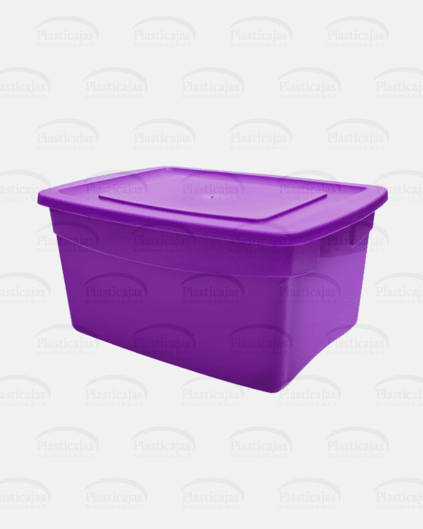 Caja Arizona