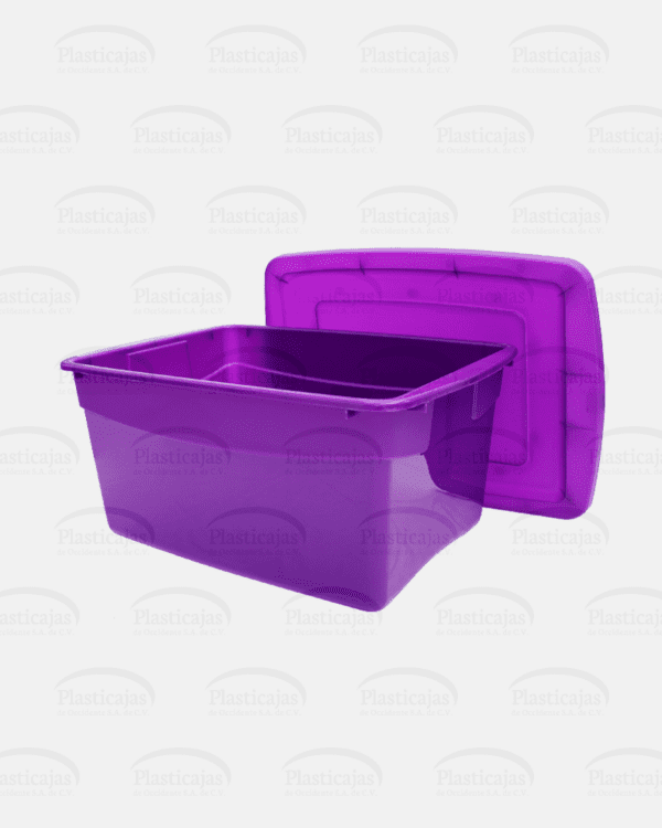 Caja Arizona - Imagen 2