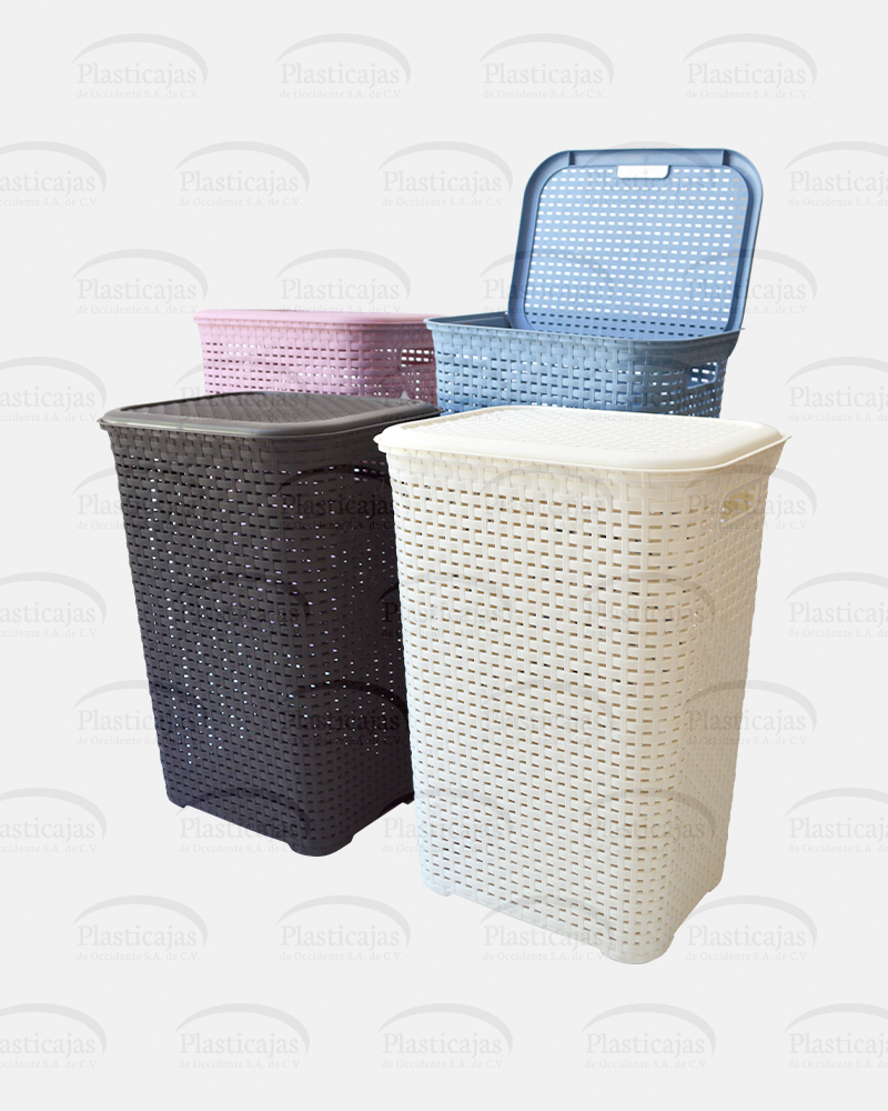 Cesto Rattan con Tapa Cesto Rattan con Tapa