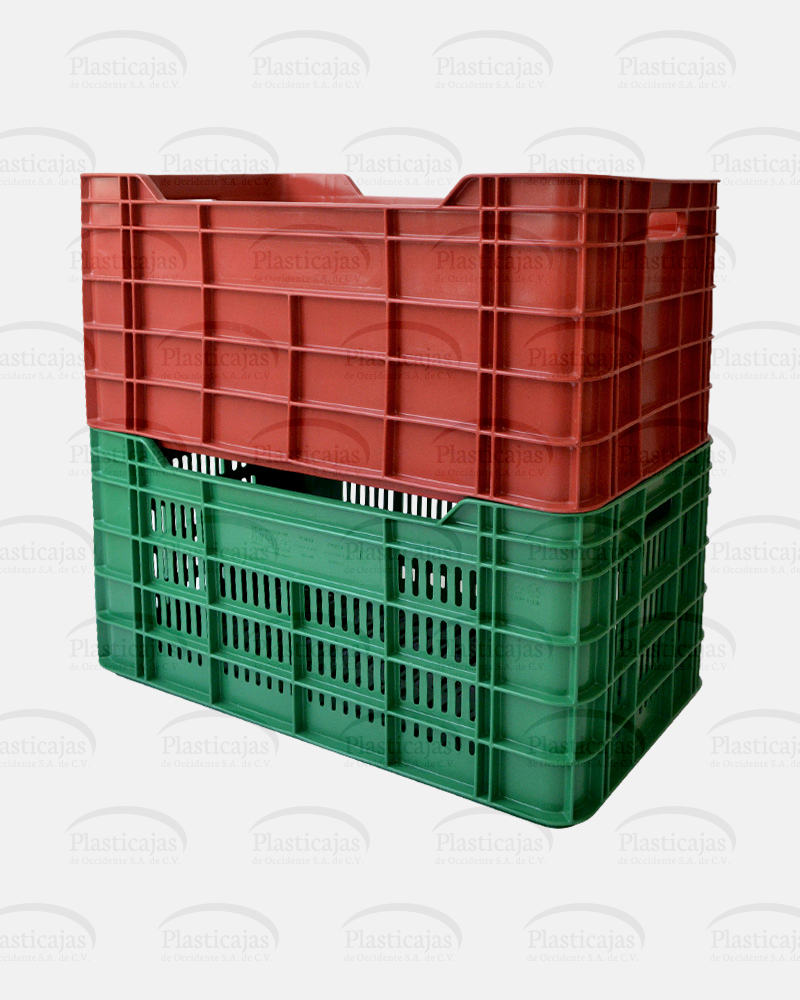 Cesta León Cesta León